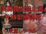 美脚露出禁止国 牝豚緊縛調教 まとめ (全5話+おまけ)